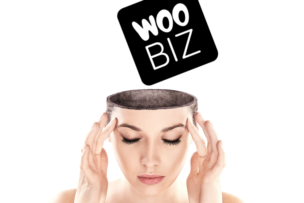 about woobiz